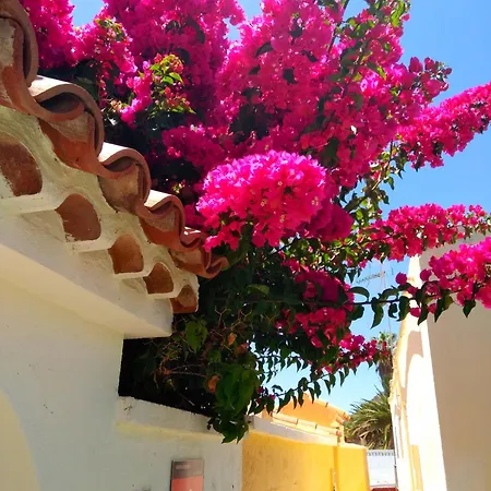Casa Limona *